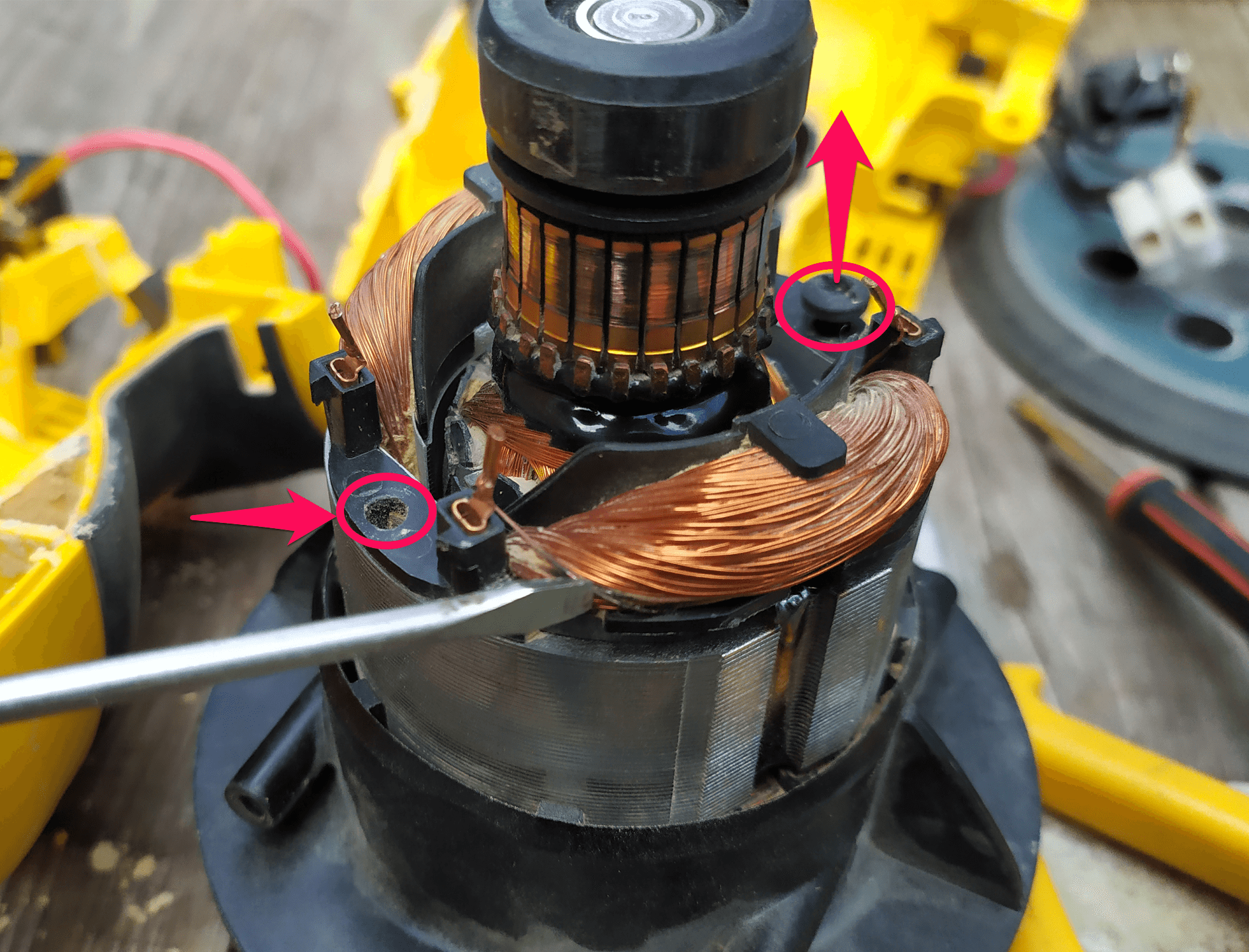 Винты крепления статора к держателю. Шлифмашина DeWALT DWE6423-QS